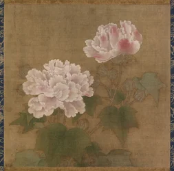 Roses de coton rouges et blanches